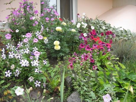 Podobova rent an ekobudinka in Mirgorod, Mirgorod - apartment by the day
