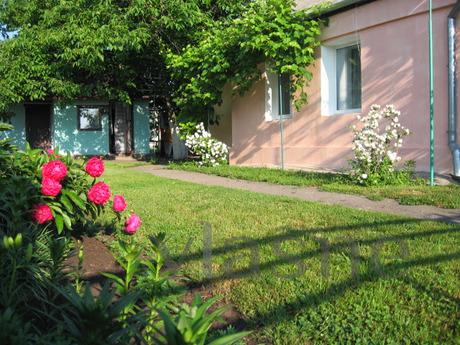 Podobova rent an ekobudinka in Mirgorod, Mirgorod - apartment by the day