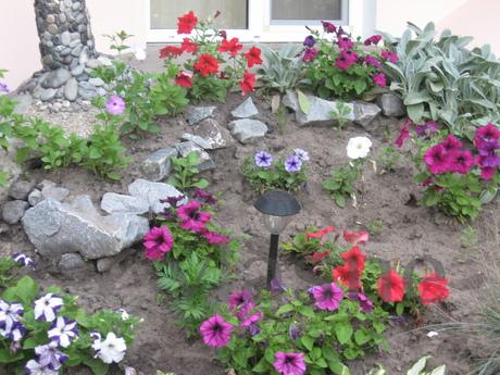 Podobova rent an ekobudinka in Mirgorod, Mirgorod - apartment by the day
