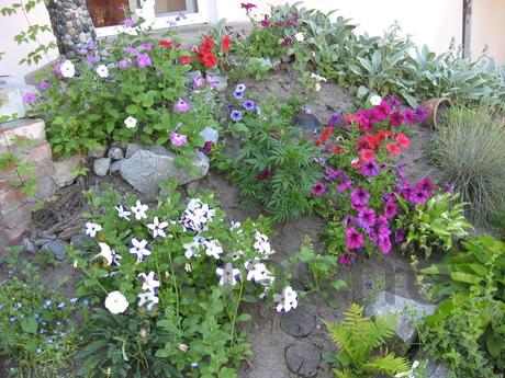 Podobova rent an ekobudinka in Mirgorod, Mirgorod - apartment by the day