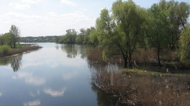 Podobova rent an ekobudinka in Mirgorod, Mirgorod - apartment by the day