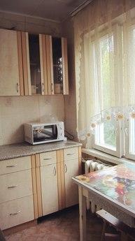 One bedroom apartment Economy Class, Voronezh - apartment by the day