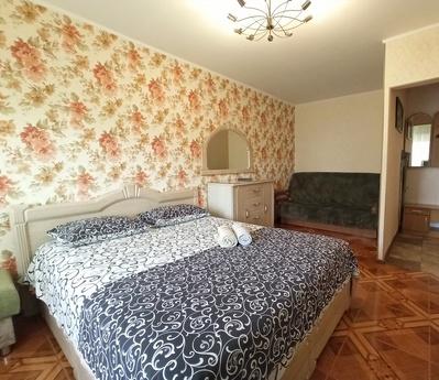 1 room South railway, concert hall Oasis, Kyiv - apartment by the day