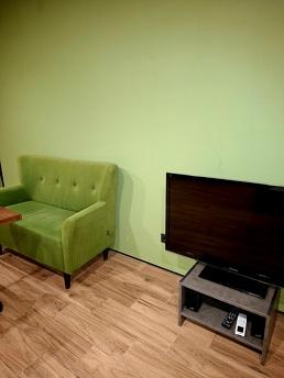 Green hourse в центрі Ірпіня, Кривой Рог - квартира посуточно