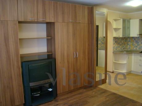 1 bedroom Panteleimonovskaya / French, Odessa - apartment by the day