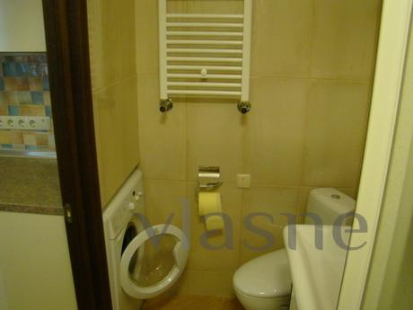 1 bedroom Panteleimonovskaya / French, Odessa - apartment by the day