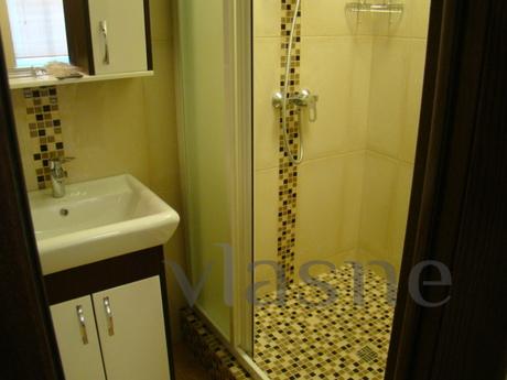 1 bedroom Panteleimonovskaya / French, Odessa - apartment by the day
