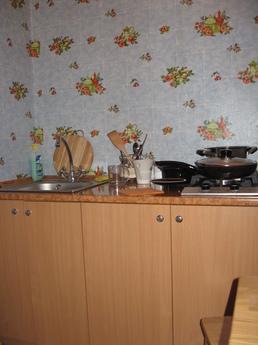 The apartment near railway station, Kyiv - apartment by the day