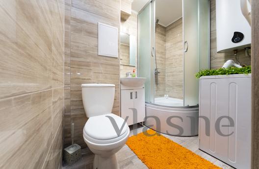 Bright 1 room sq. Obolon! m G. Dnipro, Kyiv - apartment by the day