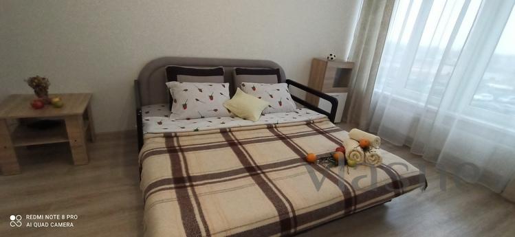 Comfortable apartment with a pleasant au, Kyiv - apartment by the day