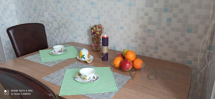 Comfortable apartment with a pleasant au, Kyiv - apartment by the day