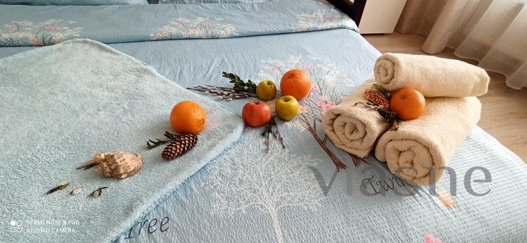 Comfortable apartment with a pleasant au, Kyiv - apartment by the day