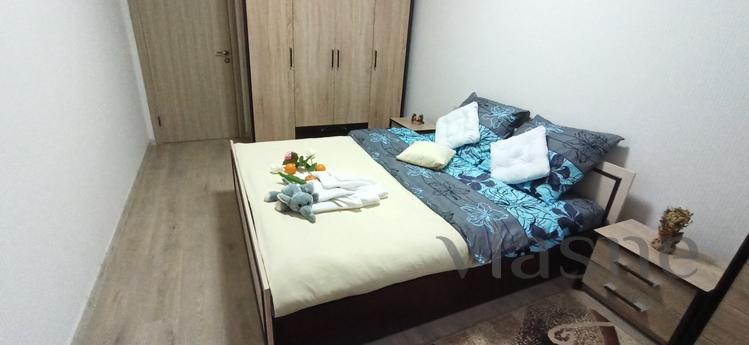 Nice warm apartment on the Prazhsky resi, Kyiv - apartment by the day