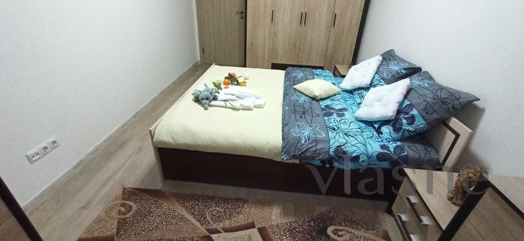 Nice warm apartment on the Prazhsky resi, Kyiv - apartment by the day