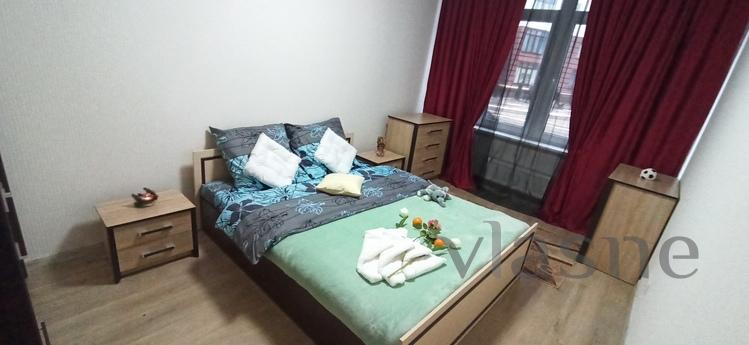 Nice warm apartment on the Prazhsky resi, Kyiv - apartment by the day