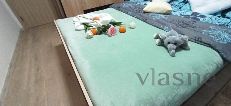 Nice warm apartment on the Prazhsky resi, Kyiv - apartment by the day