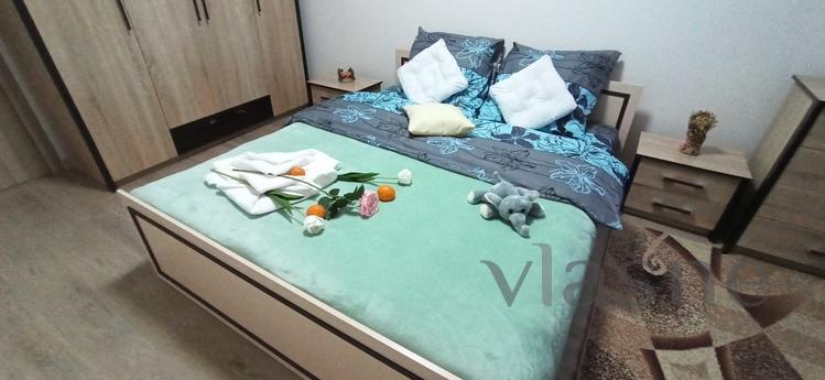 Nice warm apartment on the Prazhsky resi, Kyiv - apartment by the day