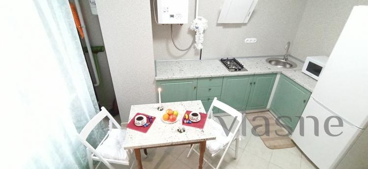 Nice warm apartment on the Prazhsky resi, Kyiv - apartment by the day