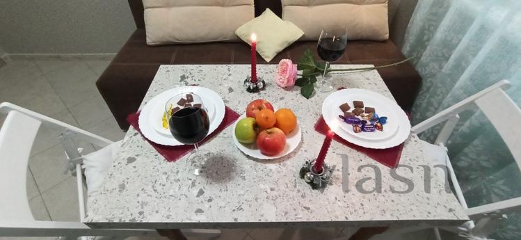Nice warm apartment on the Prazhsky resi, Kyiv - apartment by the day