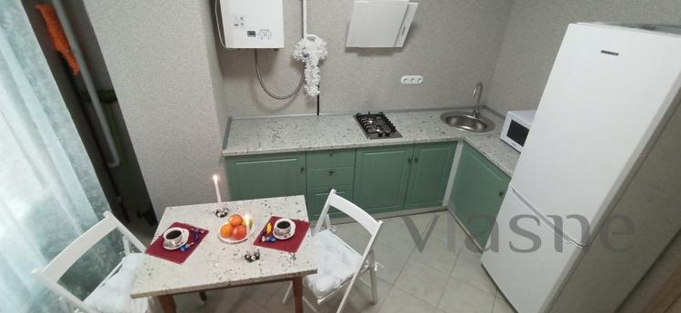 Nice warm apartment on the Prazhsky resi, Kyiv - apartment by the day