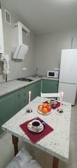 Nice warm apartment on the Prazhsky resi, Kyiv - apartment by the day