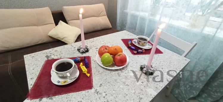 Nice warm apartment on the Prazhsky resi, Kyiv - apartment by the day
