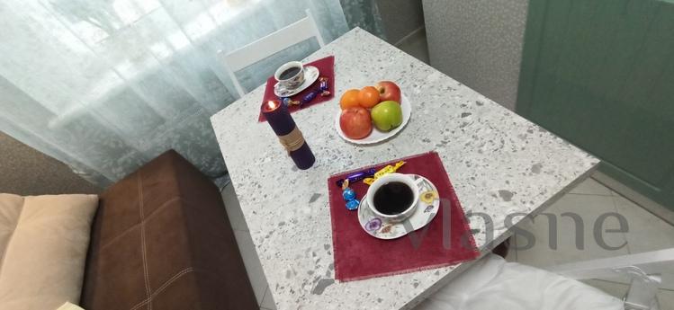 Nice warm apartment on the Prazhsky resi, Kyiv - apartment by the day