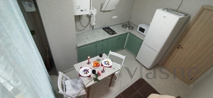 Nice warm apartment on the Prazhsky resi, Kyiv - apartment by the day