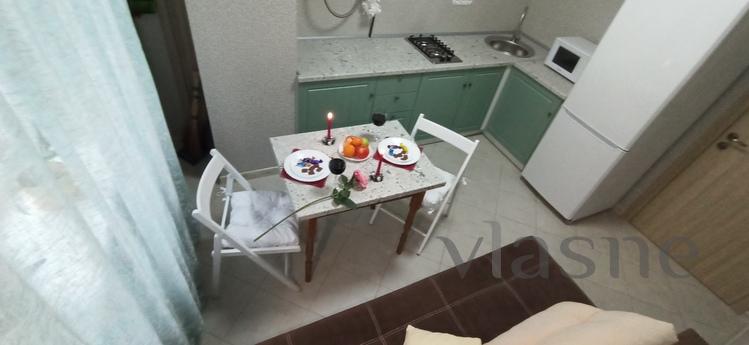 Nice warm apartment on the Prazhsky resi, Kyiv - apartment by the day