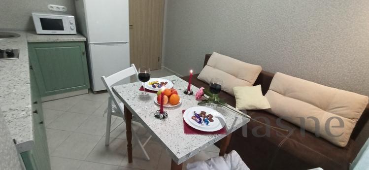 Nice warm apartment on the Prazhsky resi, Kyiv - apartment by the day