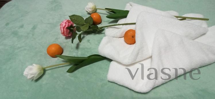Nice warm apartment on the Prazhsky resi, Kyiv - apartment by the day