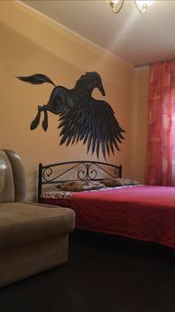 Author 2 room apartment, 5 min Train Sta, Kyiv - apartment by the day