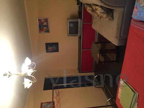 Author 2 room apartment, 5 min Train Sta, Kyiv - apartment by the day