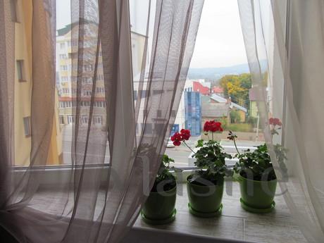 The center, beautiful apartment, Chernivtsi - apartment by the day