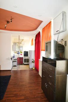 Euro flat at the center of the class, Yekaterinburg - apartment by the day