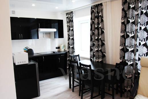 2-bedroom apartment is a standard class, Yekaterinburg - apartment by the day