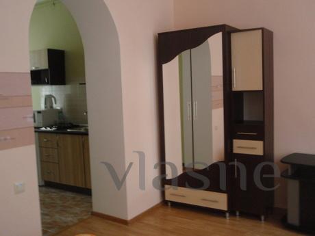 Daily, hourly, weekly rentals, Lviv - apartment by the day