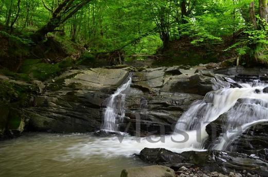 rent homestead 'Forest Hard', Uzhhorod - apartment by the day