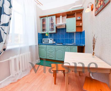 The apartment is 300m from the Hermitage, Saint Petersburg - apartment by the day