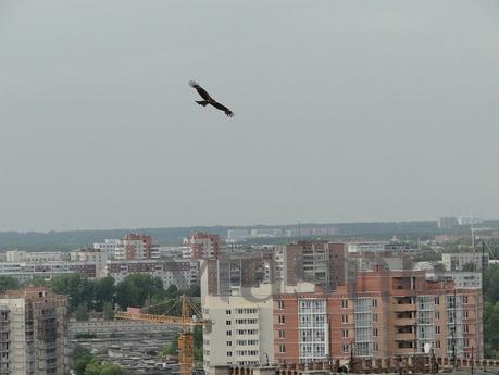Уютная квартира , с видом на весь город, Новосибирск - квартира посуточно