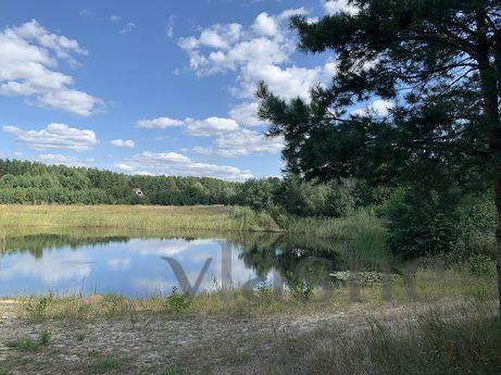 Wonderful vacation by the lake in a pine, Voropayevo - apartment by the day