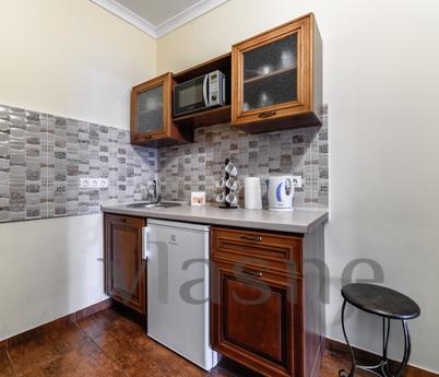 The apartment is in the heart, Lviv - apartment by the day