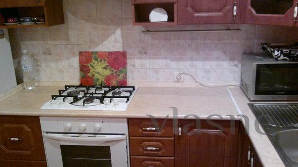 1 bedroom apartment in the center WI-FI, Zhytomyr - apartment by the day