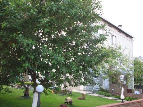 Apartment in a private house, Vyshhorod - apartment by the day