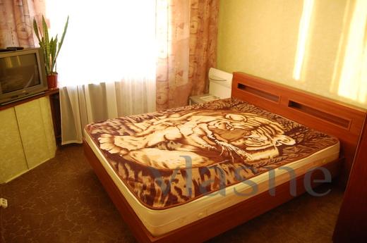 Cvoya 2-bedroom apartment for rent, Kyiv - apartment by the day