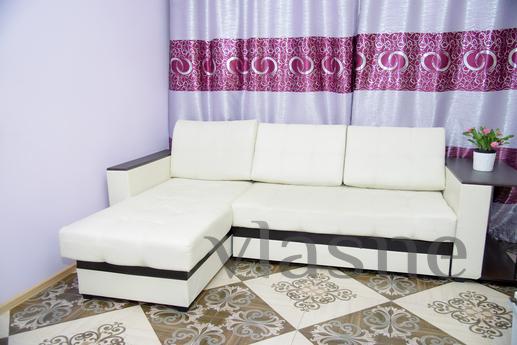 LIVE COMFORTABLY AND BE IN THE CENTER OF, Novosibirsk - apartment by the day