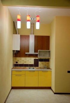 1-bedroom apartment in the center WI-FI, Lviv - apartment by the day