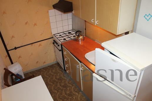 Apartment for rent in a great location, Uzhhorod - apartment by the day