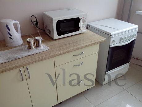 1 bedroom Apartment for rent, Voronezh - apartment by the day