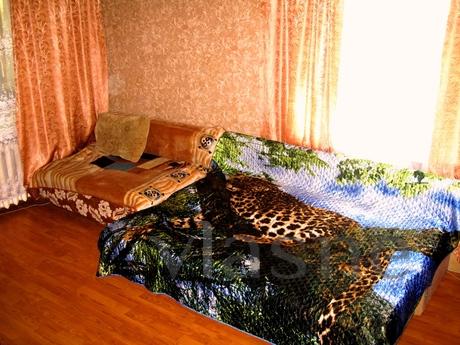 Daily on Gagarin, Yekaterinburg - apartment by the day